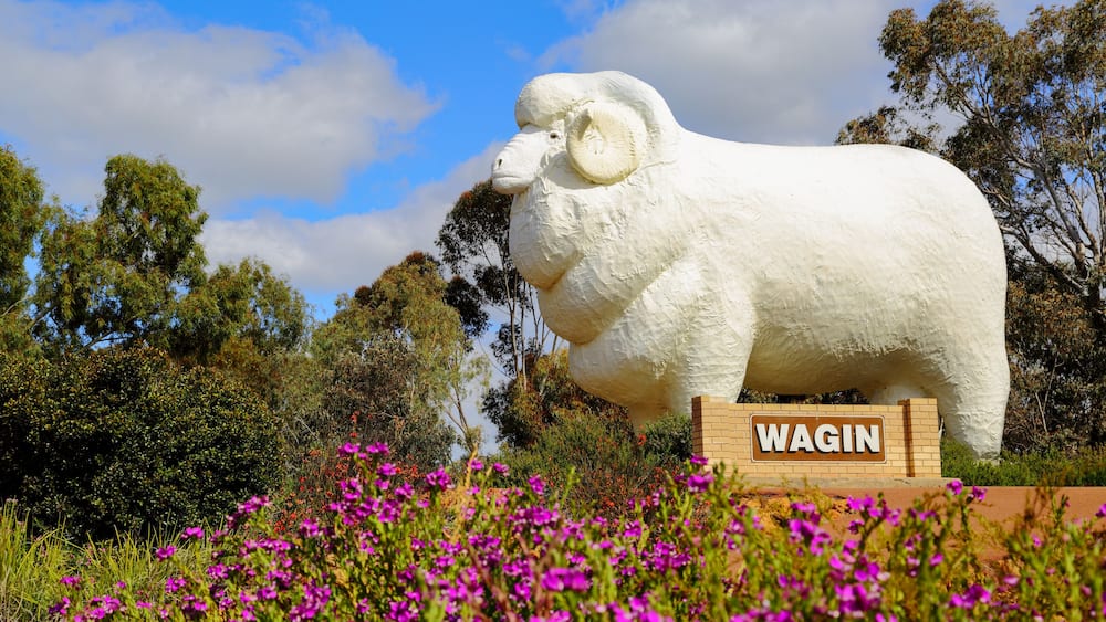 The Giant Ram at Wagin, WA