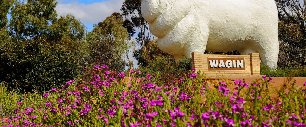 A large white ram sculpture with a sign that reads "WAGIN" in front of a waterfall and surrounded by purple flowers.