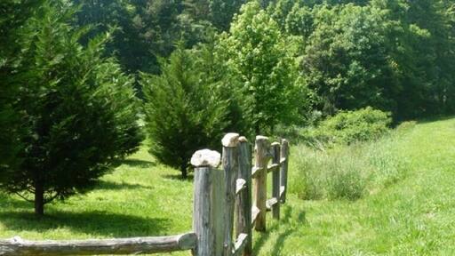 Potters way road to Avery Pottery and Tileworks (by Blain M Avery) Spring Kiln opening 2012