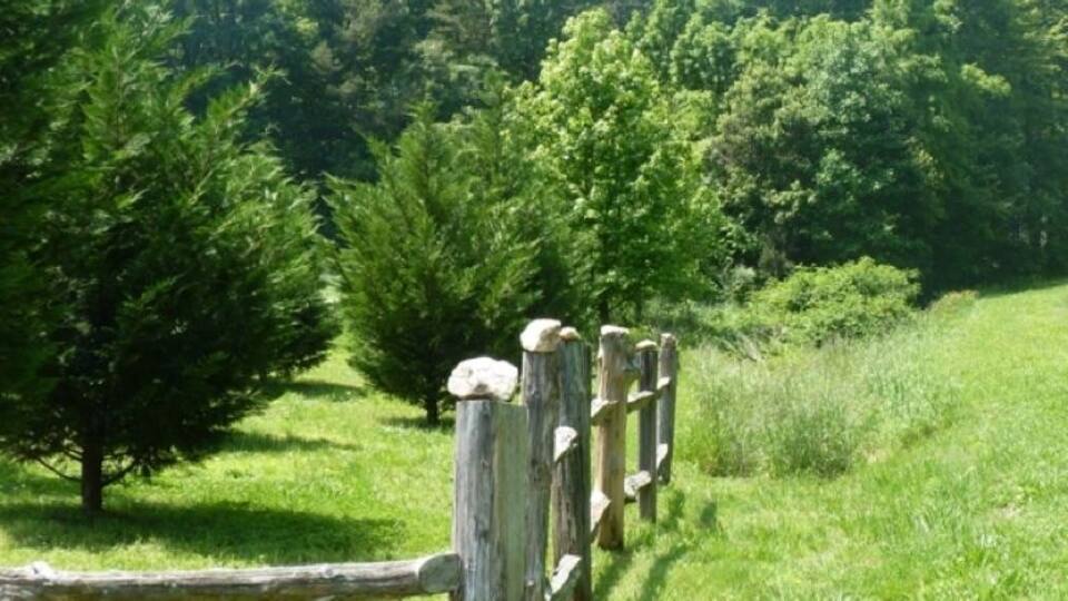 A wooden fence in a grassy field with trees in the background.