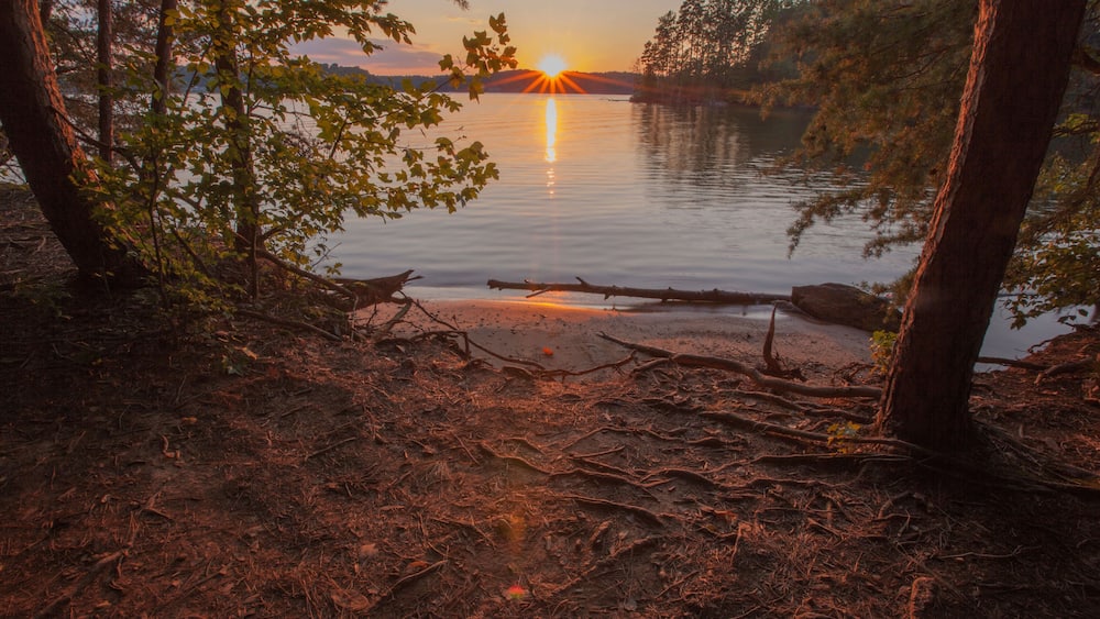 A sunset over a calm lake surrounded by trees.