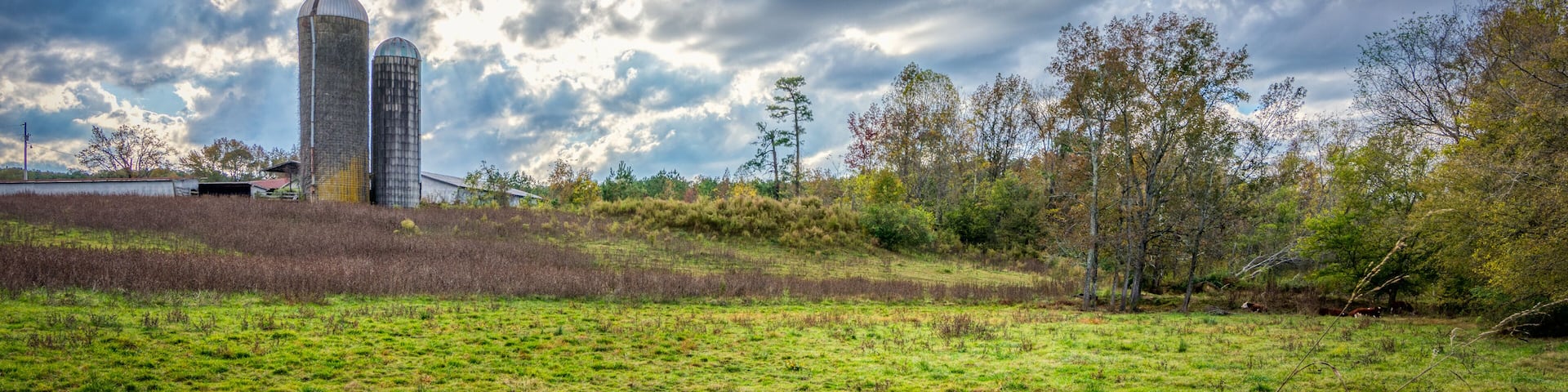 A farm with two silos in a field on a stormy day