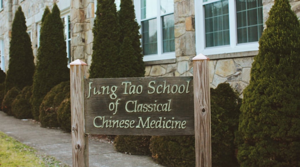 When thinking of healing modalities of "Appalachia", the first image that often emerges is something that resembles a sort of folk medicine, but merely 6 miles from Boone lies a clinic and school that merges Western medical perspectives with the philosophy and science of Chinese medicine. Sean Marshall created the school in 1997, with the belief that, “ It is as esoteric as any philosophical system could be and, at the same time, as stringent a science as any modern intellectual discipline.” One healing modality, or aspect of what the Chinese call “Zhen-Jiu”, which roughly translates as “Needle (Zhen) – Burn (Jiu)” utilized is acupuncture. This refers to the practice of inserting fine metal needles into specific physical and energetic “channels” to stimulate the body’s own capacity to respond and heal. The other aspect, "Burn” refers to herbs that may supplement the body in the case of deficient energy.
#appalachianechoes
