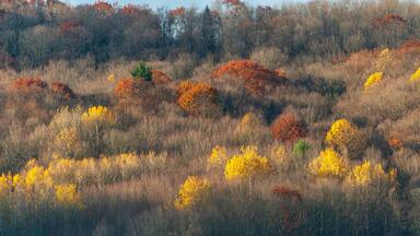 Forest Overlook at Sugar Grove, Pennsylvania