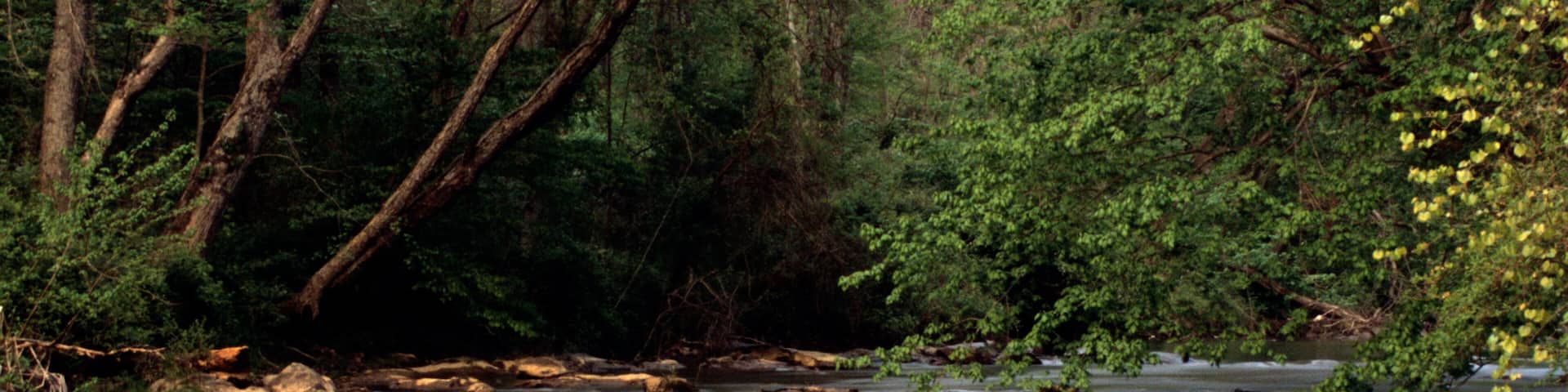 Swannanoa River