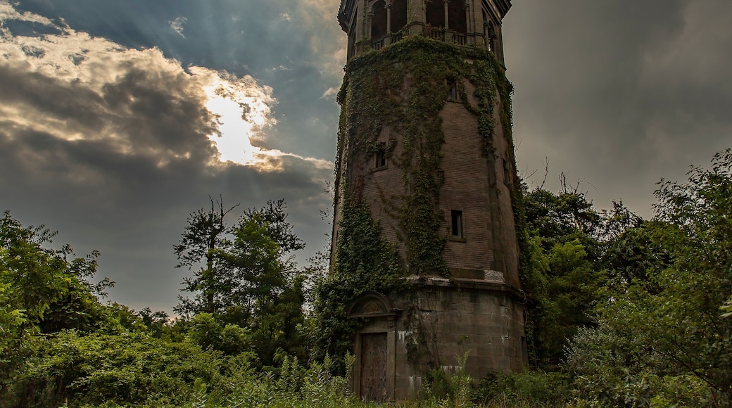 Watertower at Swannanoa Mansion in Afton, VIrginia