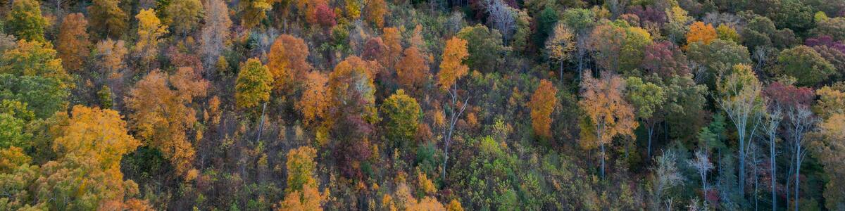 Aerial View of Shope Creek outside of Asheville, North Carolina. Autumn / Fall leaf foliage in the Blue Ridge Mountains.