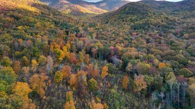 Aerial View of Shope Creek outside of Asheville, North Carolina. Autumn / Fall leaf foliage in the Blue Ridge Mountains.