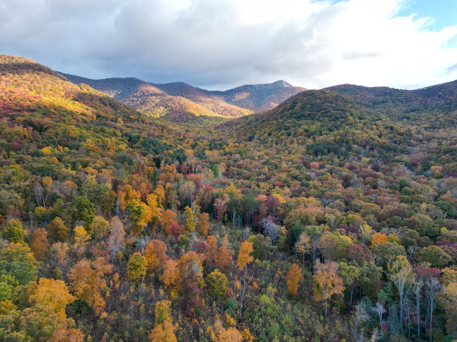 Aerial View of Shope Creek outside of Asheville, North Carolina. Autumn / Fall leaf foliage in the Blue Ridge Mountains.