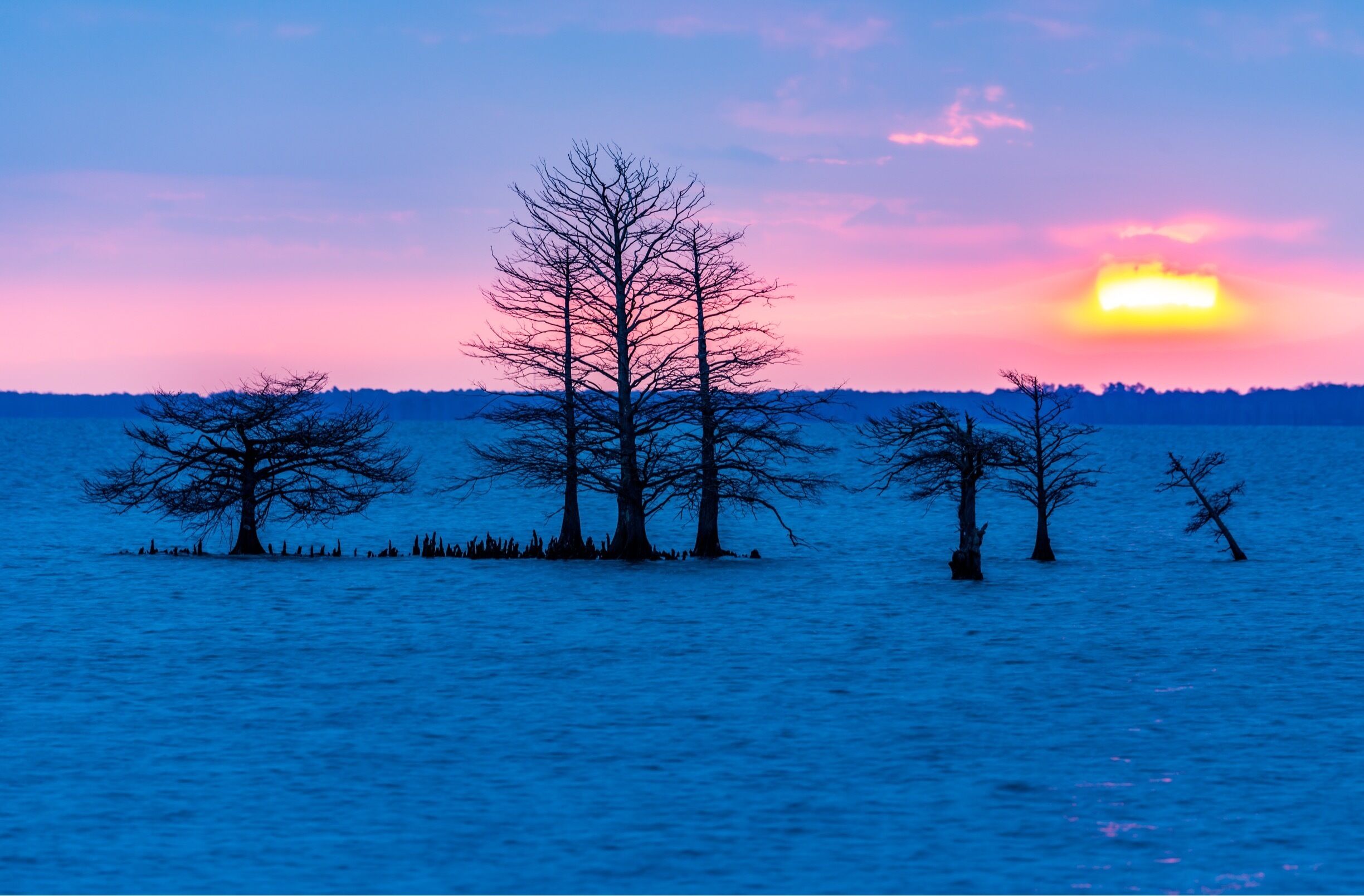 Lake Mattamuskeet is a beautiful place for
Landscape and Wildlife Photography. 