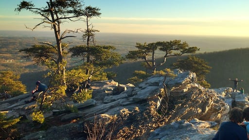 Perfect hike to start the new year. #blueridgemountains #northcarolina