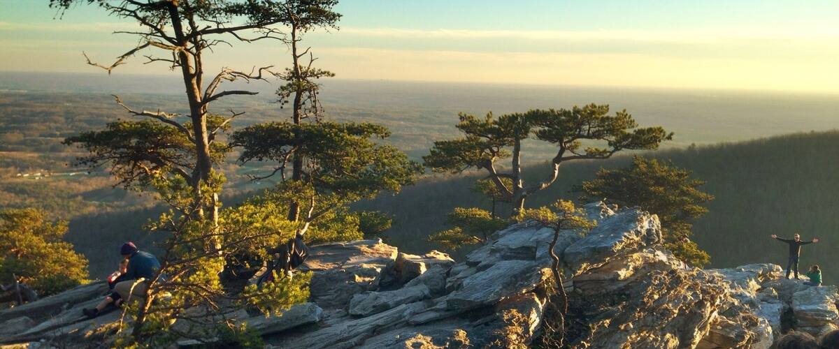 A mountainous landscape with rocky terrain and several pine trees.