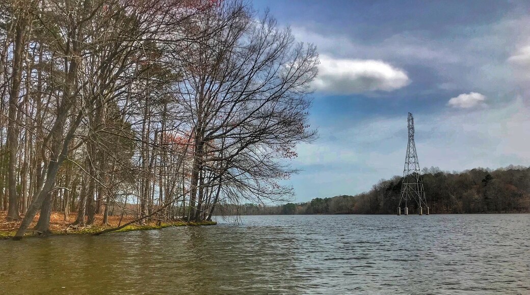 Nice spot to #kayak in Union County.
