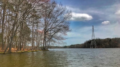 Nice spot to #kayak in Union County.