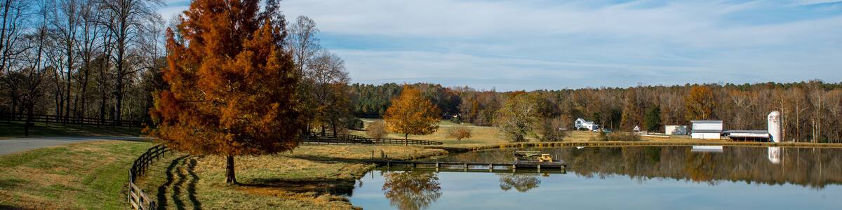 Farm buildings on a lake in North Carolina