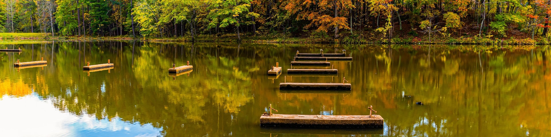 Fall Color Reflections on Sycamore Creek, William B. Umstead State Park, Raleigh, North Carolina, USA