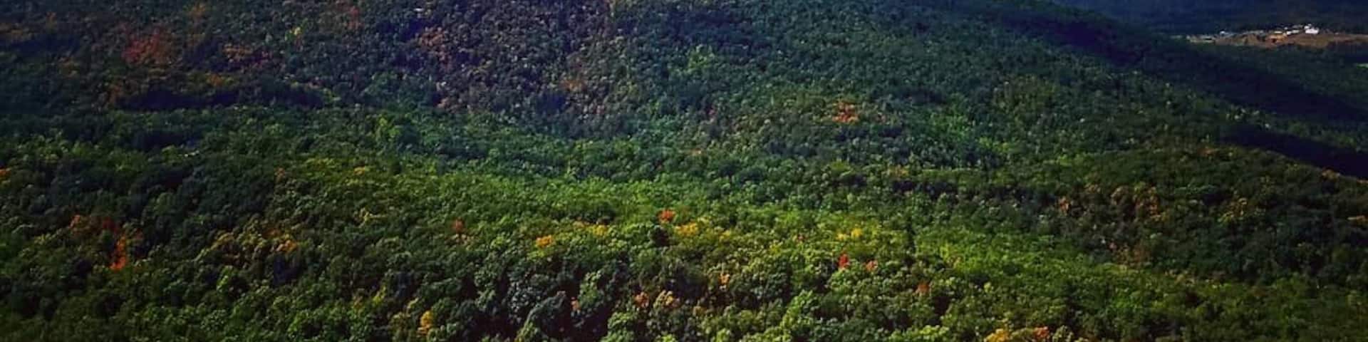 1.5 mile straight up one way. The views are amazing.