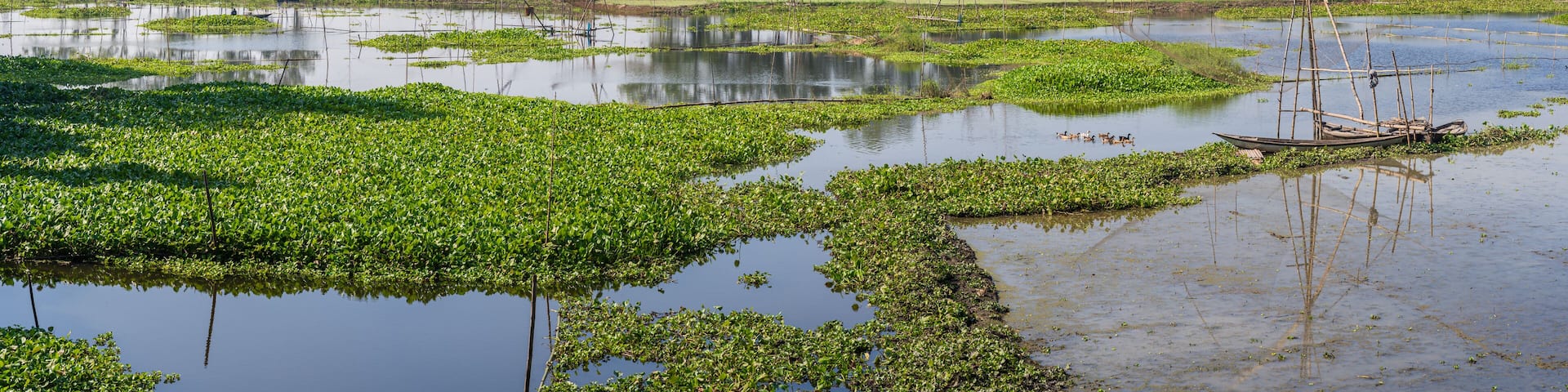 Scenic rural landscape panorama with wooden boats and traditional chinese fishing nets in Tangail countryside, Bangladesh