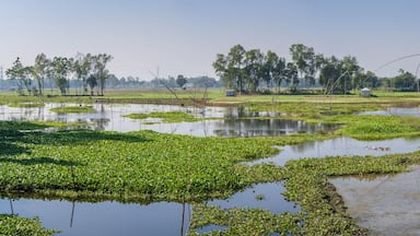 Scenic rural landscape panorama with wooden boats and traditional chinese fishing nets in Tangail countryside, Bangladesh