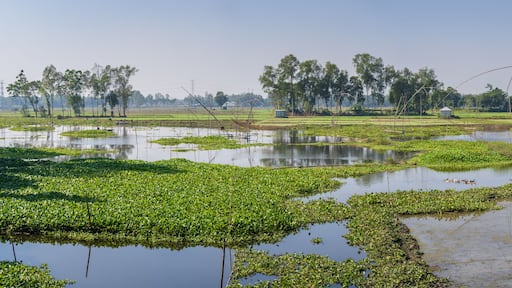 Scenic rural landscape panorama with wooden boats and traditional chinese fishing nets in Tangail countryside, Bangladesh