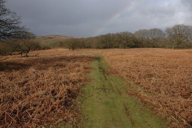Twyn-yr-allt Twyn-yr-allt overlooks Abergavenny.