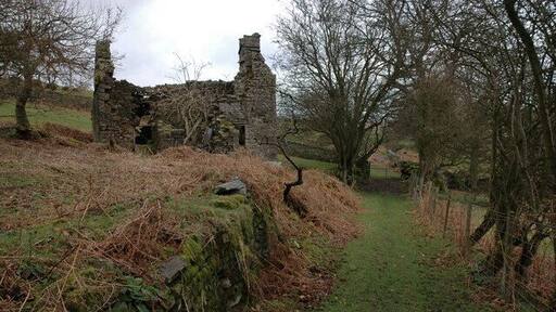 Ruined cottage at Cae-drain