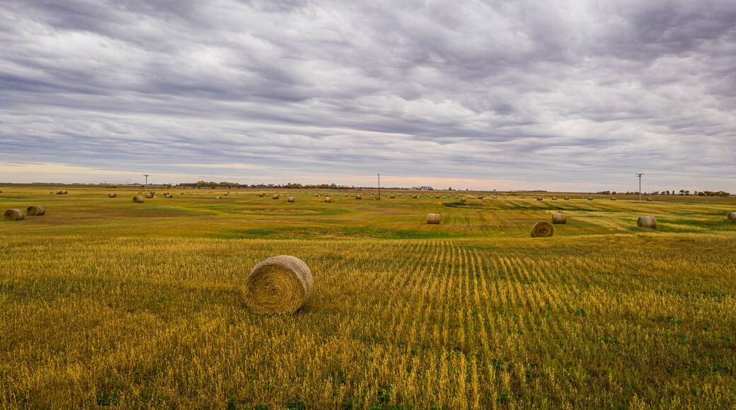 A bale of hay sitting in the middle of a field in the great plains of North Dakota.