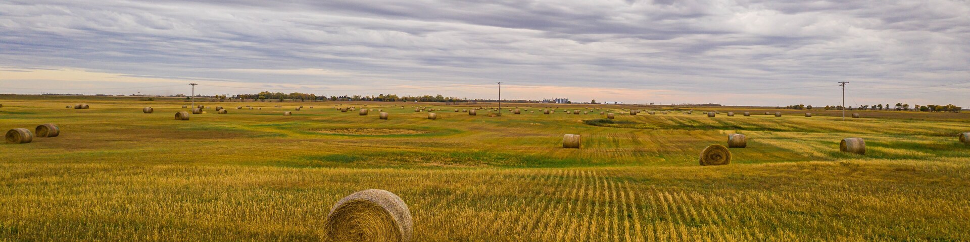 A bale of hay sitting in the middle of a field in the great plains of North Dakota.