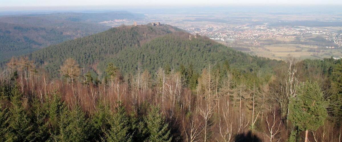 A mountain with dense forests and a distant view of a town.