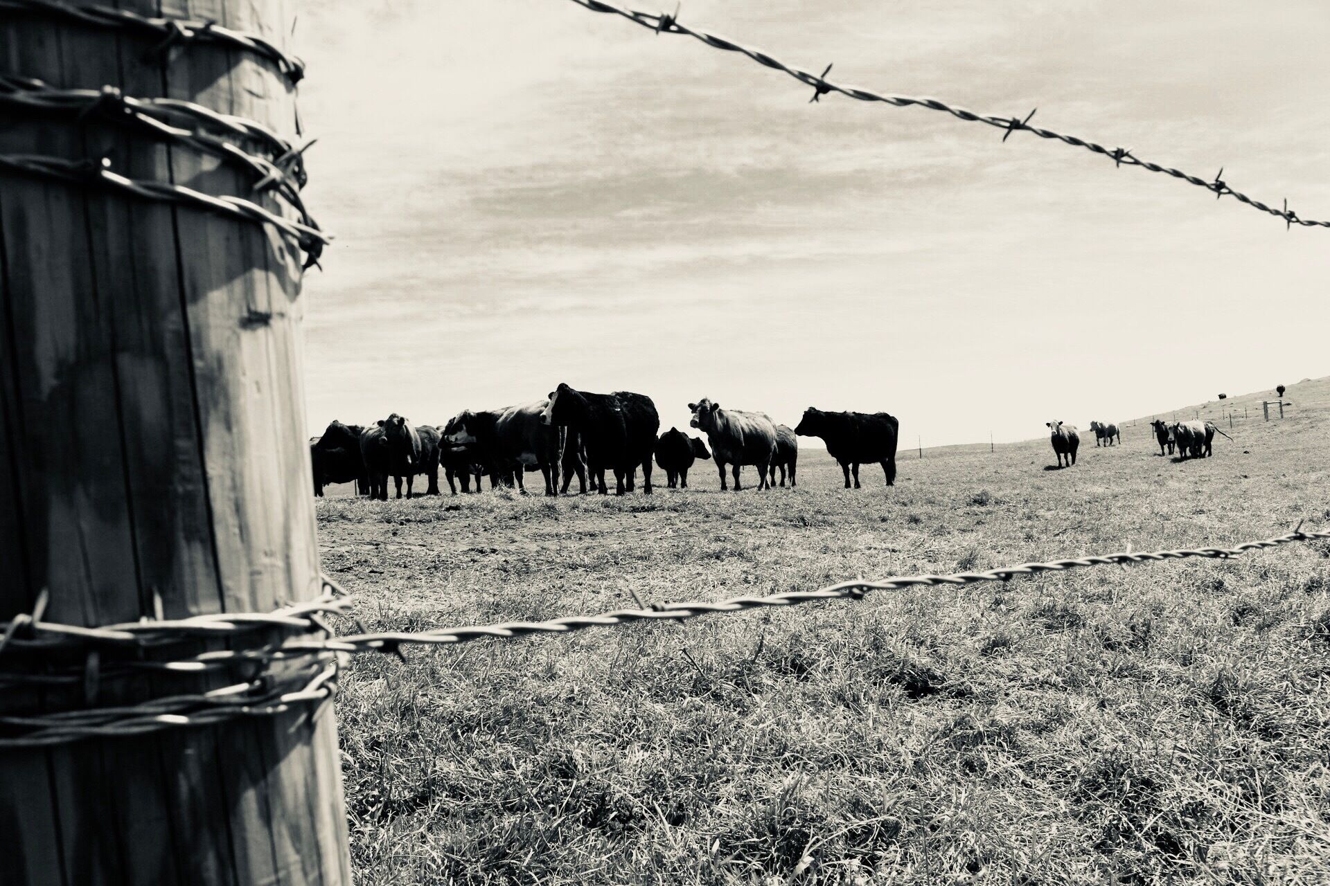 I’ve traveled Asia, the South Pacific, South America, and a good portion of North America- there are a lot of wonderful places in the world, but this one has my ❤️. #ndlegendary