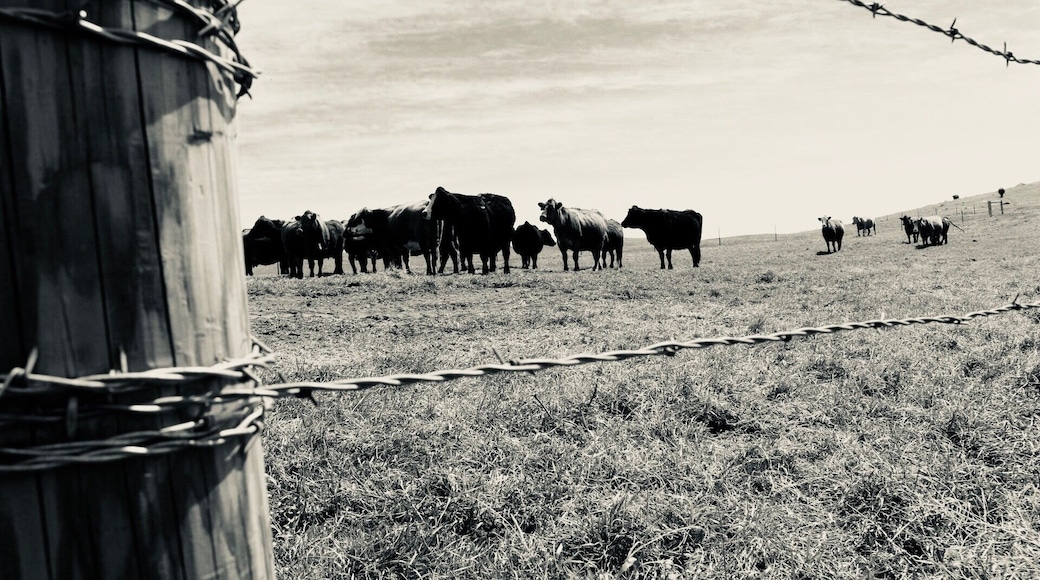 I’ve traveled Asia, the South Pacific, South America, and a good portion of North America- there are a lot of wonderful places in the world, but this one has my ❤️. #ndlegendary