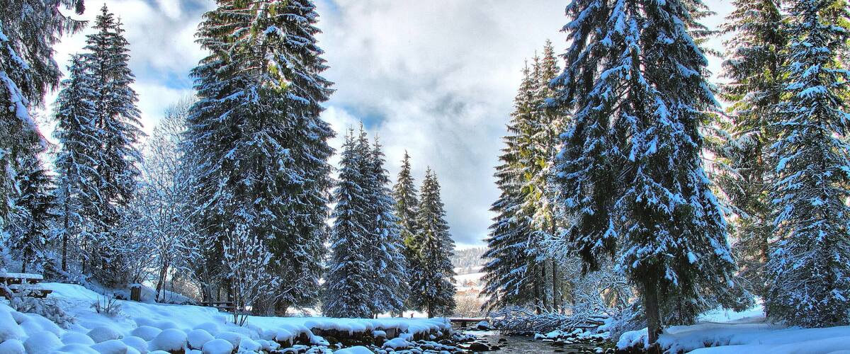 Parc Naturel Régional du Haut Jura : le Doubs juste après sa source