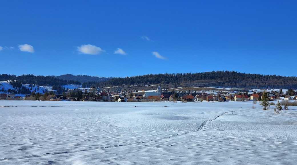 Parc naturel régional du Haut-Jura