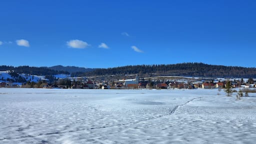 Parc naturel régional du Haut-Jura