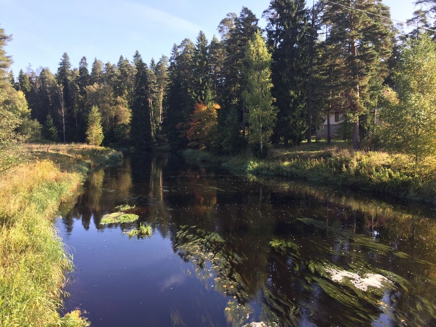 The trees are changing colours everywhere but the weather is still mild for a little swim in the clearwater lake of this quarry. Do take care when entering this area