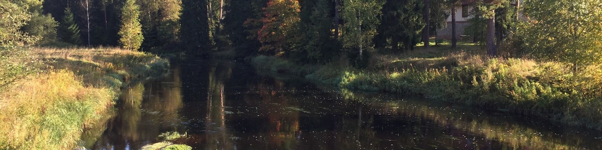 Un río tranquilo con reflejos de árboles y una casa al fondo.