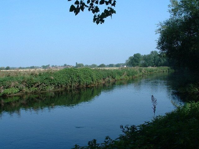 A calm river with dense vegetation on the banks and a clear blue sky.