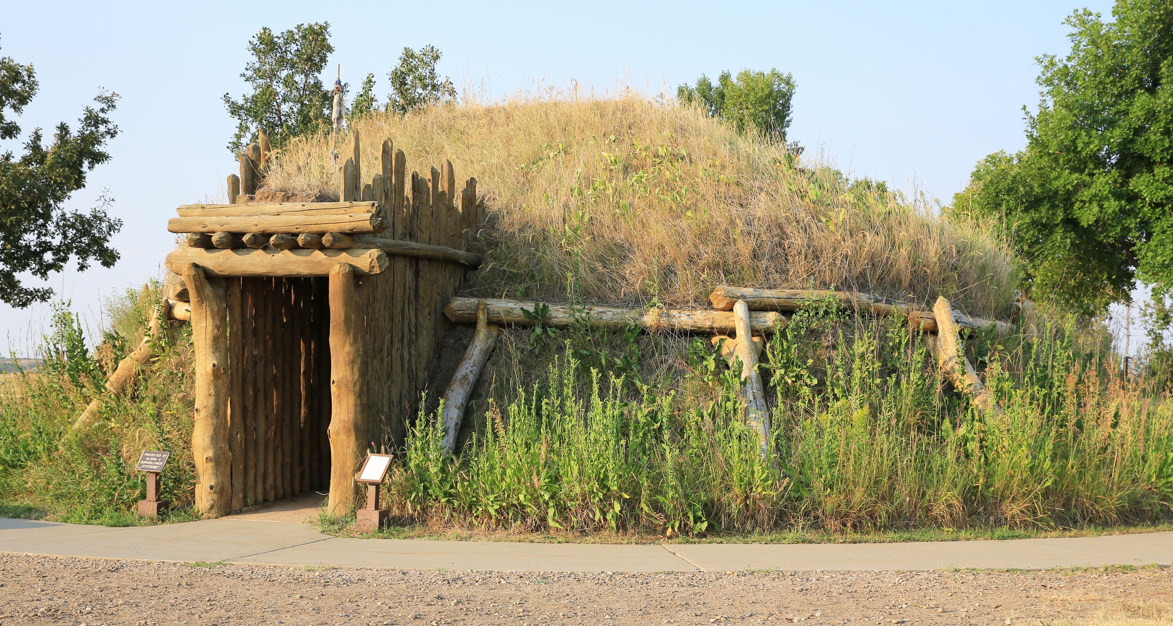 A wooden structure with a door, surrounded by tall grass and trees.