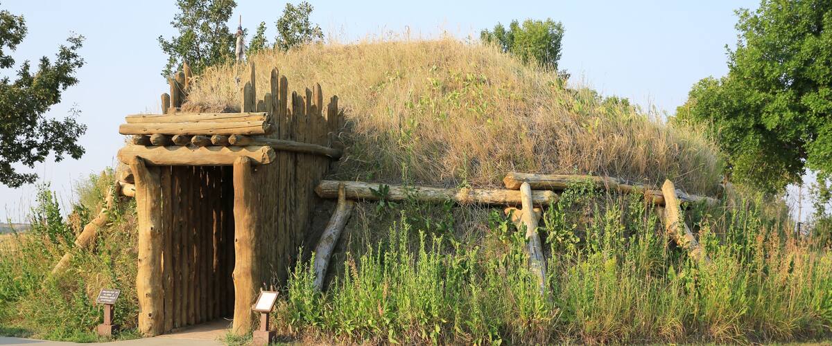 A wooden structure with a door, surrounded by tall grass and trees.