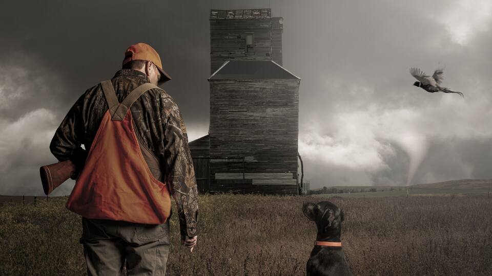 A person with a dog in a field with a wooden structure and a tornado in the background.