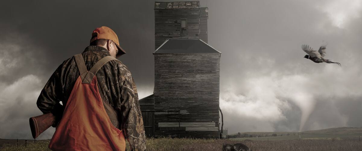 A person with a dog in a field with a wooden structure and a tornado in the background.