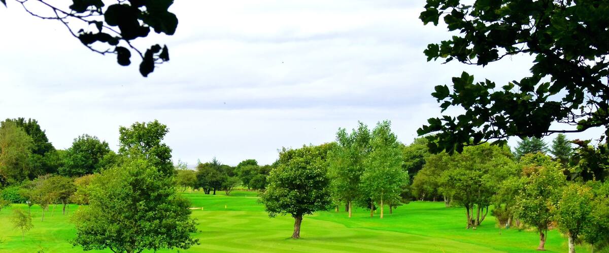 A lush green golf course with trees and a clear sky.