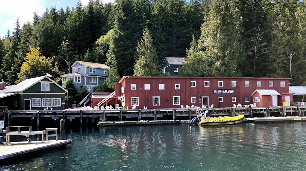 Telegraph Cove was established in 1912 as old sawmill town that had deteriorated to the point where everything had to be restored and rebuilt. Today, an eight hundred foot long boardwalk and dock surround the old village. Telegraph Cove is tucked away on the eastern coast of Northern Vancouver Island. This tiny picturesque and historical village is a major destination during the summer months when the snug little bay bustles with whale watchers, fishermen, boaters, campers and kayakers. Telegraph Cove has a rich and colourful past and is one of the last boardwalk settlements left on Vancouver Island. The Resort at the village has a large variety of accommodations from cozy cabins and historic homes to modern condominium suites. (September 2019)
#History