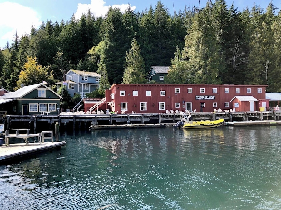Telegraph Cove was established in 1912 as old sawmill town that had deteriorated to the point where everything had to be restored and rebuilt. Today, an eight hundred foot long boardwalk and dock surround the old village. Telegraph Cove is tucked away on the eastern coast of Northern Vancouver Island. This tiny picturesque and historical village is a major destination during the summer months when the snug little bay bustles with whale watchers, fishermen, boaters, campers and kayakers. Telegraph Cove has a rich and colourful past and is one of the last boardwalk settlements left on Vancouver Island. The Resort at the village has a large variety of accommodations from cozy cabins and historic homes to modern condominium suites. (September 2019)
#History