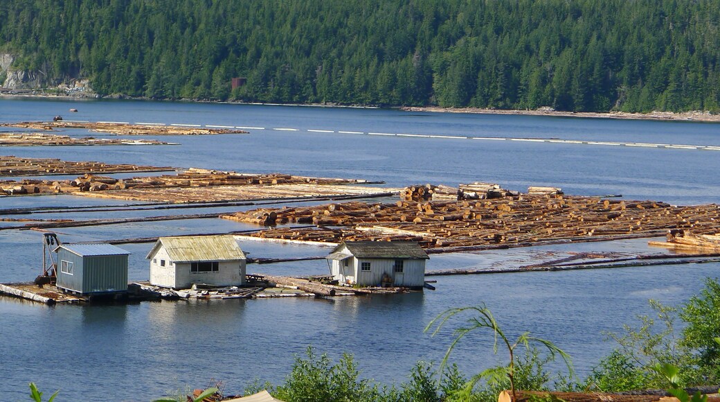 Woodlogs floating on water near Telegraph Cove, BC. In the distance you notice a log boom barrier that prevents the logs to "escape".
