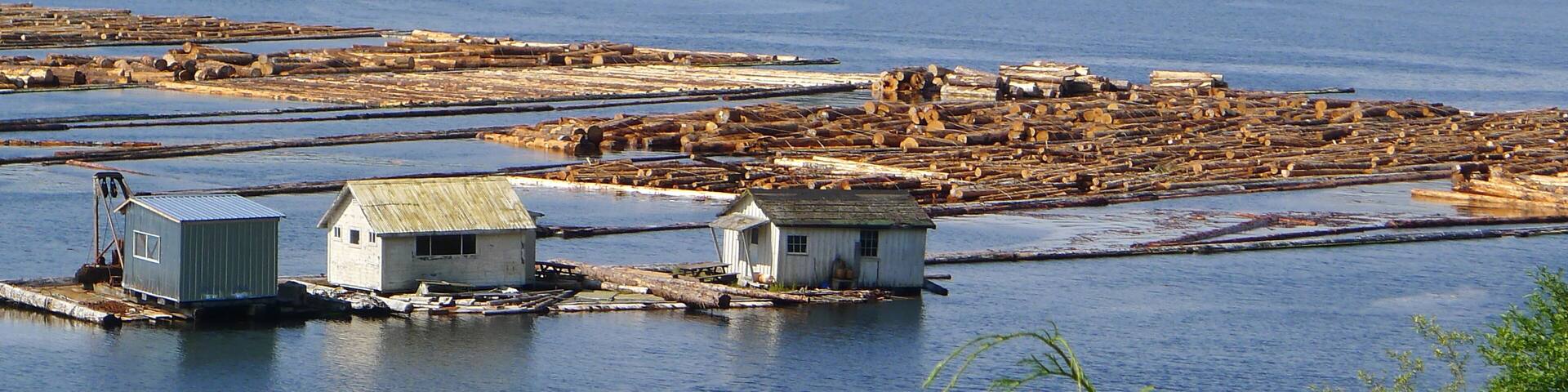 Woodlogs floating on water near Telegraph Cove, BC. In the distance you notice a log boom barrier that prevents the logs to "escape".