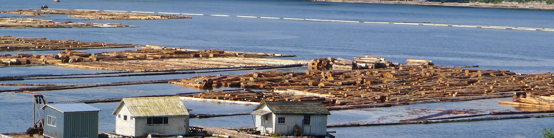 Woodlogs floating on water near Telegraph Cove, BC.   In the distance you notice a log boom barrier that prevents the logs to "escape".