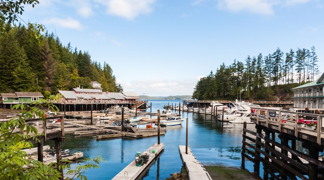 Canada - Telegraph Cove