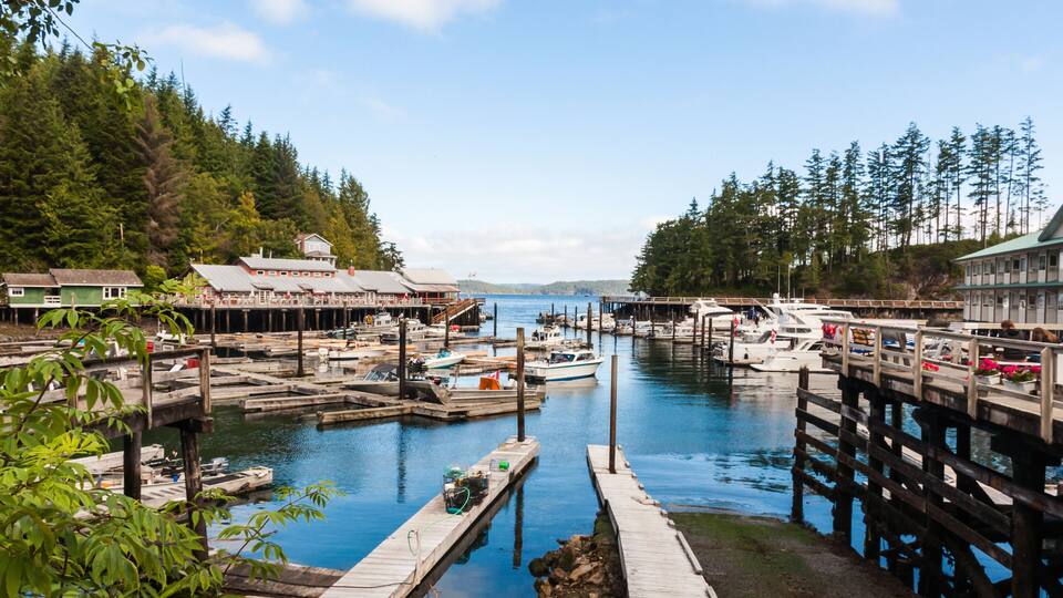 A marina with boats, wooden docks, and buildings surrounded by forest.