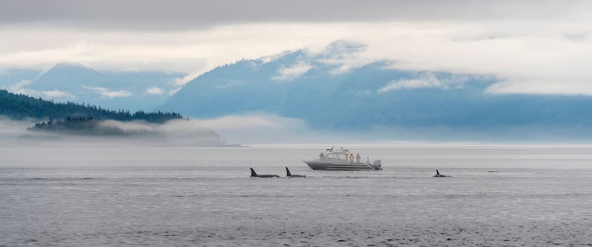 A boat on calm water with mountains and forest in the background.